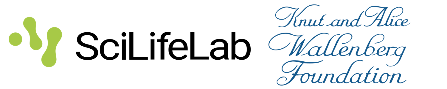 SciLifeLab & Wallenberg National Program logo